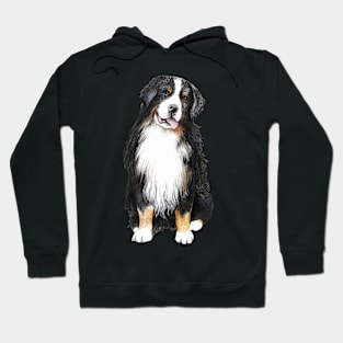 Bernese Mountain Dog Hoodie